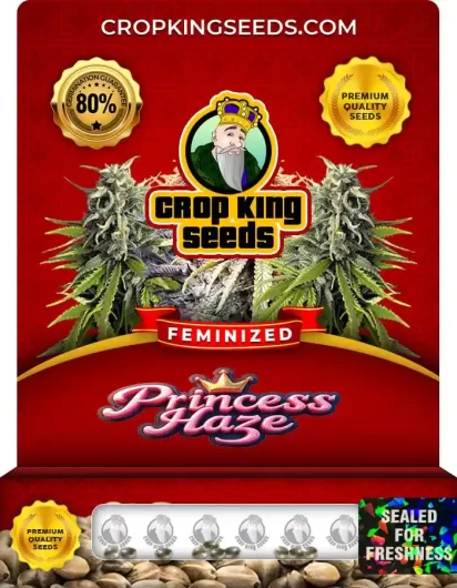 princess-haze-image