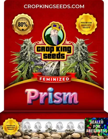 prism-image