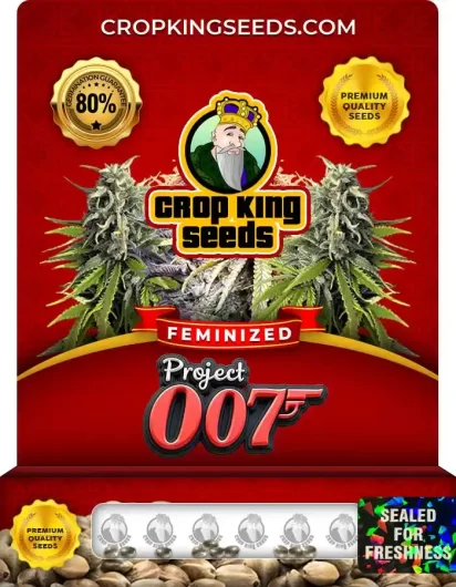 project-007-image
