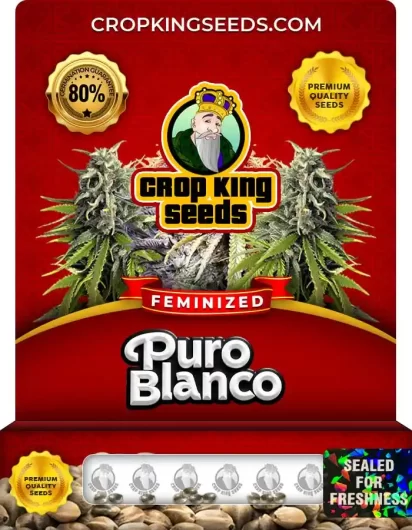 puro-blanco-image