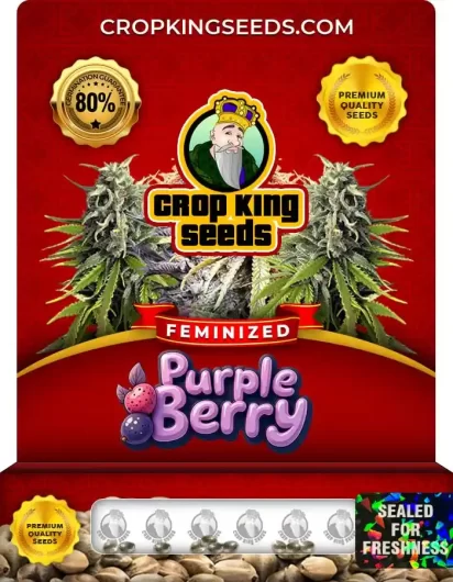 purple-berry-image