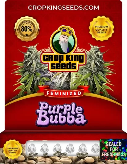 purple-bubba-image