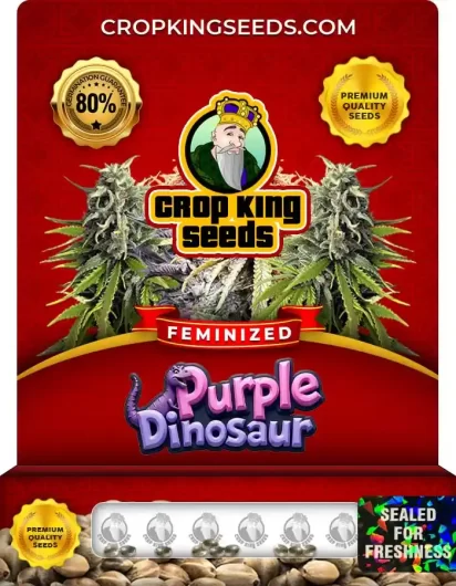 purple-dinosaur-image
