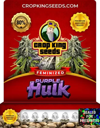 purple-hulk-image
