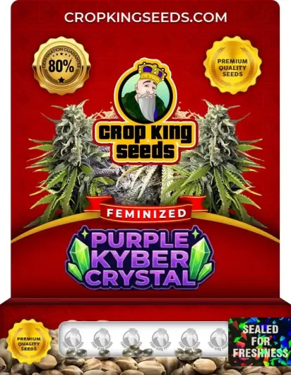 purple-kyber-crystal-image