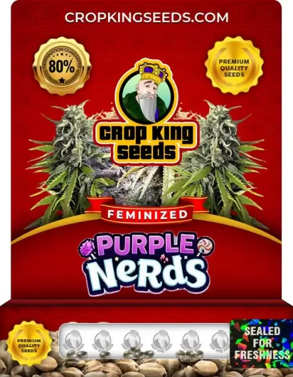 purple-nerds-image