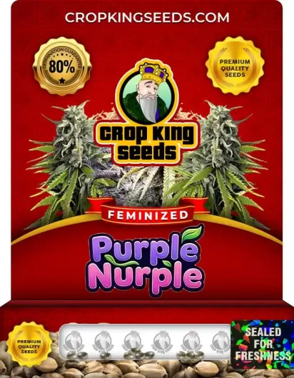 purple-nurple-image