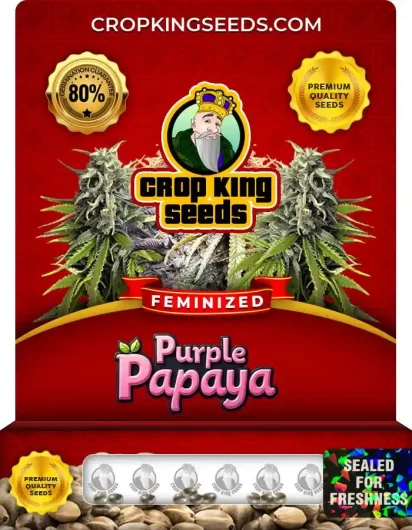 purple-papaya-image