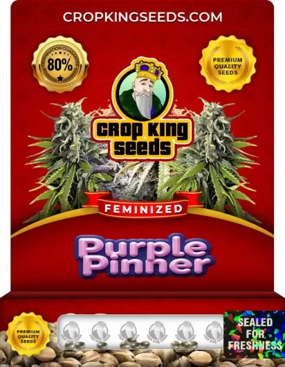 purple-pinner-image