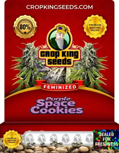 purple-space-cookies-image