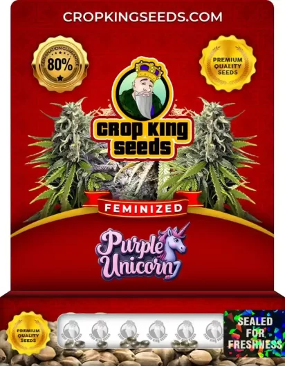 purple-unicorn-image