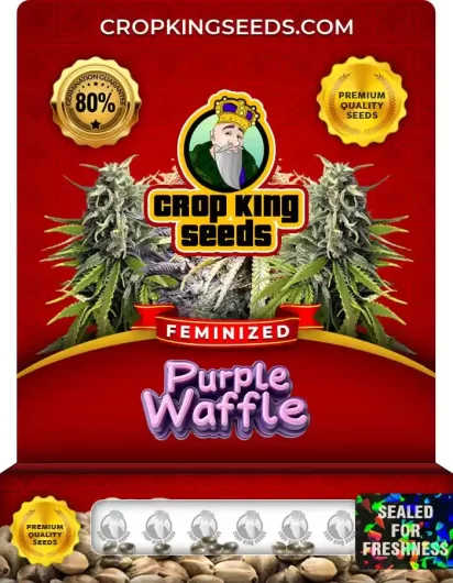 purple-waffle-image