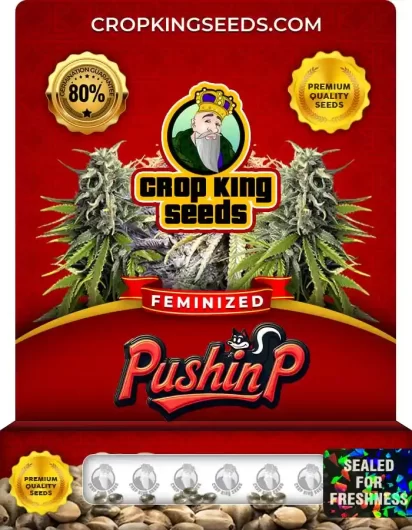 pushin-p-image