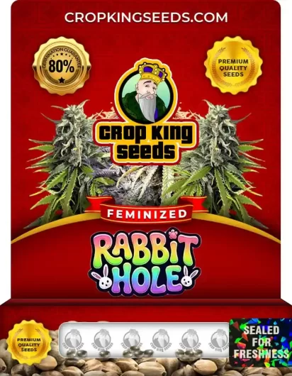 rabbit-hole-image