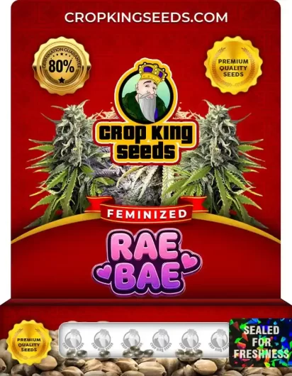 rae-bae-image
