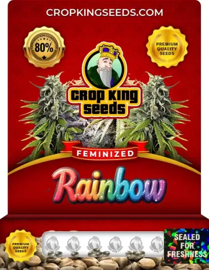 rainbow-image