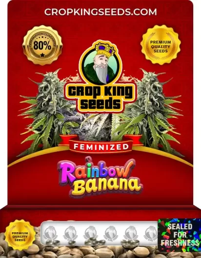 rainbow-banana-image