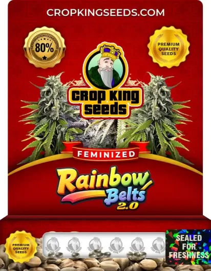 rainbow-belts-2.0-image