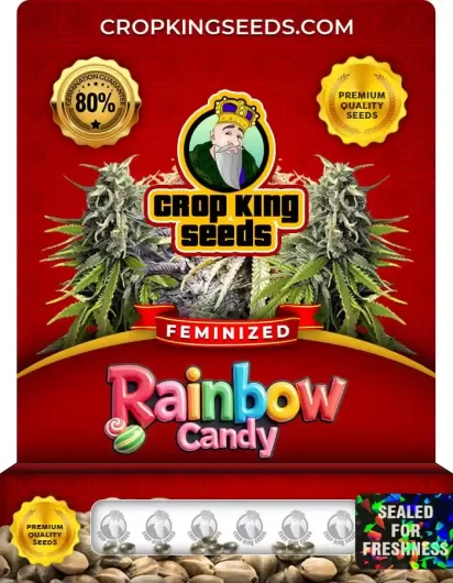rainbow-candy-image