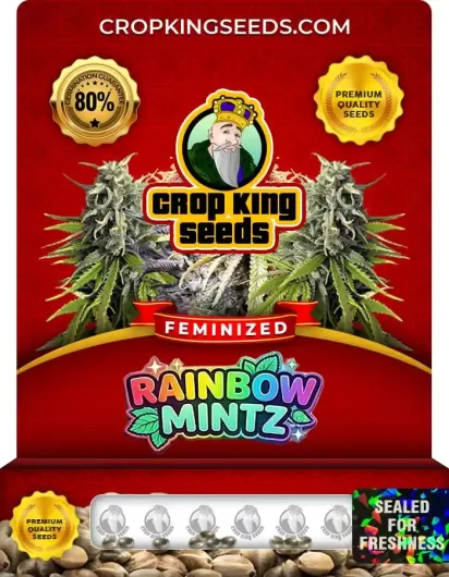 rainbow-mintz-image