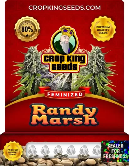 randy-marsh-image