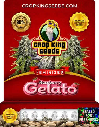 raspberry-gelato-image