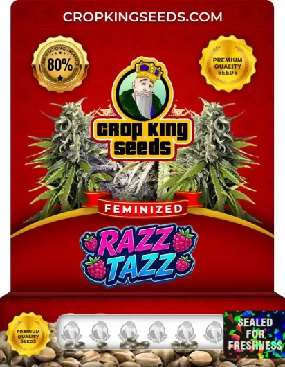 razz-tazz-image