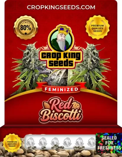 red-biscotti-image