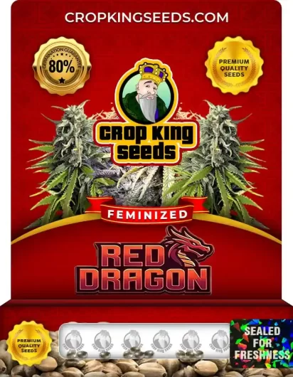 red-dragon-image