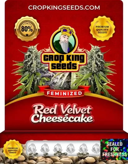 red-velvet-cheesecake-image