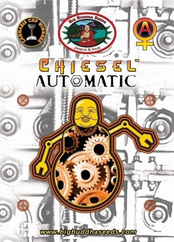 chiesel-automatic-image