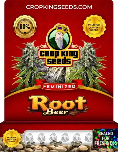 root-beer-image