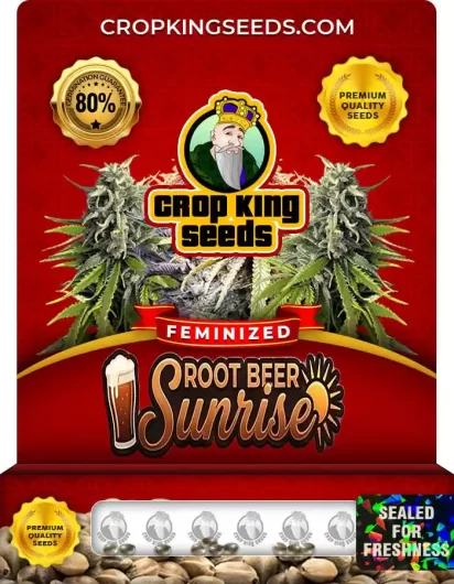 root-beer-sunrise-image