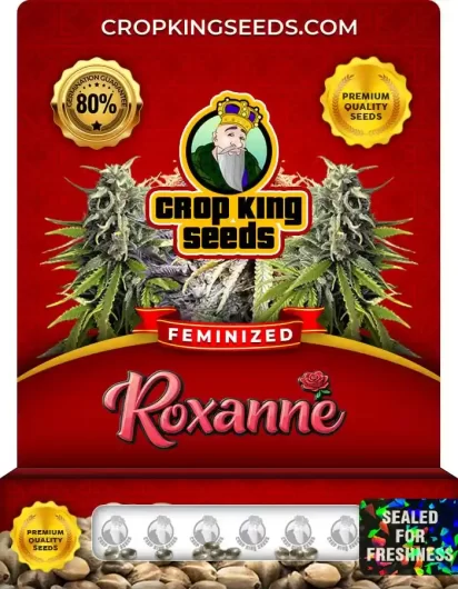 roxanne-image