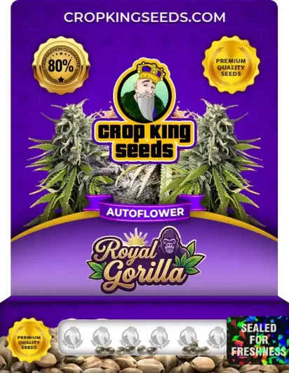 royal-gorilla-autoflower-image
