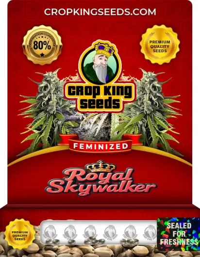 royal-skywalker-image