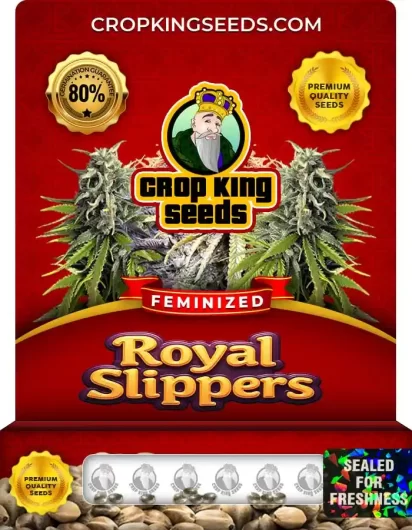 royal-slippers-image