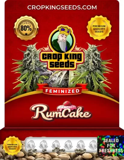 rum-cake-image