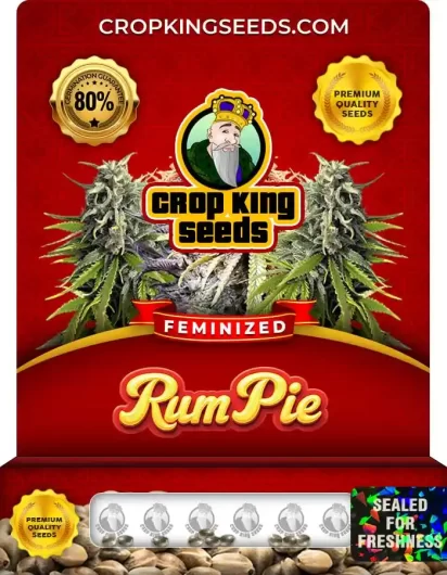 rum-pie-image