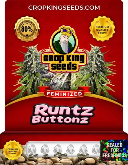 runtz-buttonz-image