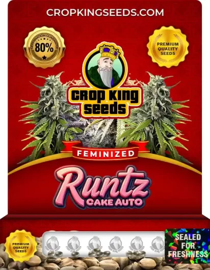runtz-cake-auto-image