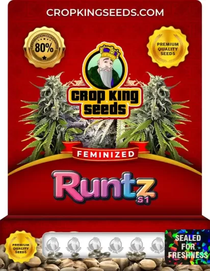 runtz-s1-image