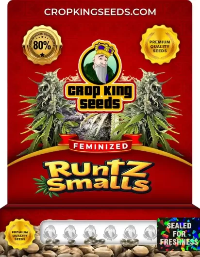 runtz-smalls-image