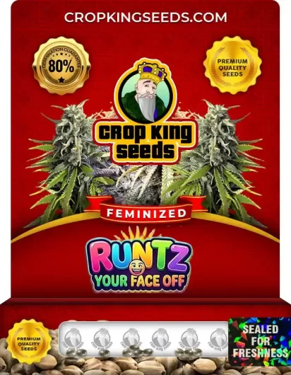 runtz-your-face-off-image