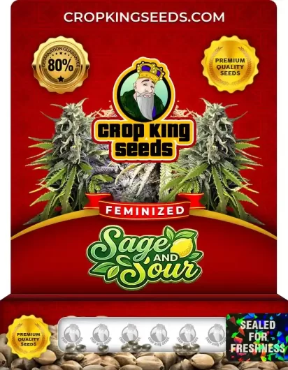 sage-and-sour-image