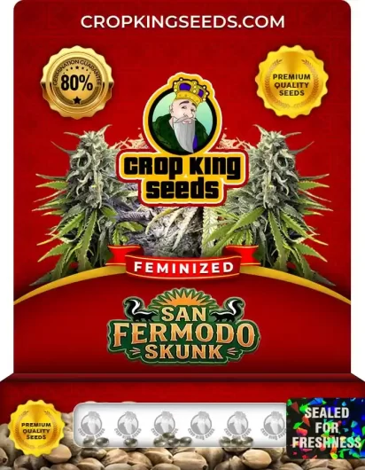 san-fermodo-skunk-image