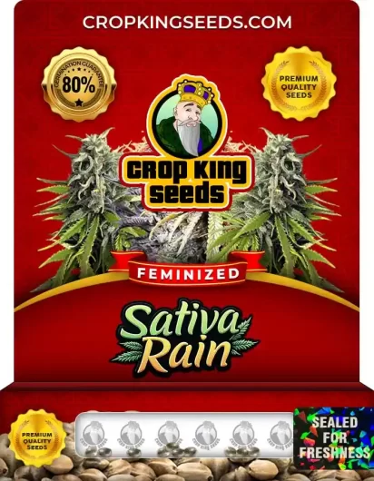 sativa-rain-image