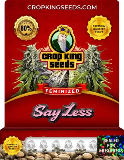 say-less-image