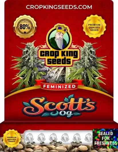 scotts-og-image