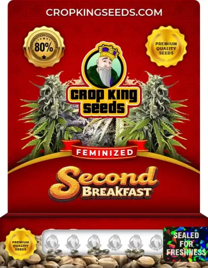 second-breakfast-image